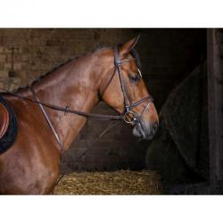 Martingale fixe - Riding World