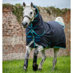 Amigo Bravo 12 Plus Pony -...