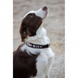 Collier pour chien Pearl -...