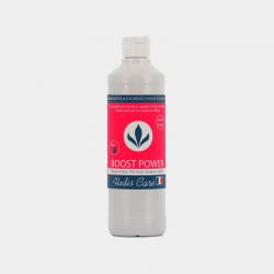 Boost Power 500mL